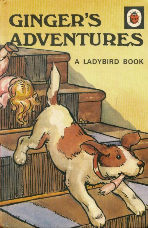 Livrenpoche : Ginger's adventures - A.J Macgregor - Livre