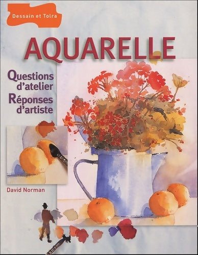 Aquarelle : Questions d'atelier réponses d'artiste - david Norman - Livre