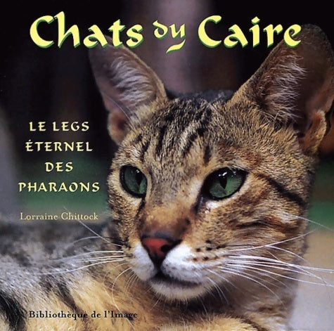 Chats du Caire - legs éternel des pharaons - Lorraine Chittock - Livre