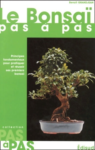 Livrenpoche : Pas à pas - Benoît Grandjean - Livre