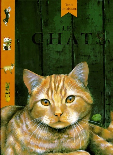 Livrenpoche : Les chats - Amanda O'neill - Livre