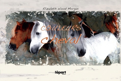 Livrenpoche : Couleurs cheval - Elizabeth Wood Morgan - Livre