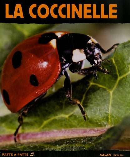 Livrenpoche : Coccinelle (la) - Anne Six - Livre