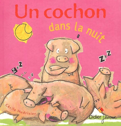 Livrenpoche : Un cochon dans la nuit - Cécile Hudrisier - Livre