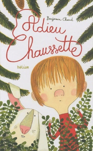 Livrenpoche : Adieu chaussette - Benjamin Chaud - Livre