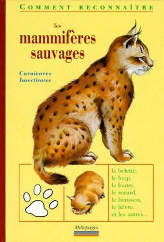 Livrenpoche : Les mammifères vil. 2 : Carnivores et insectivores - Anonyme - Livre