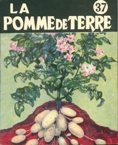 Livrenpoche : La pomme de terre - Collectif - Livre
