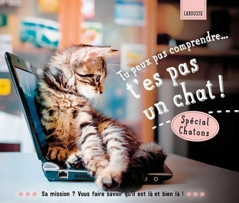 Livrenpoche : Tu peux pas comprendre t'es pas un chat ! - Aurélie Lemoine - Livre