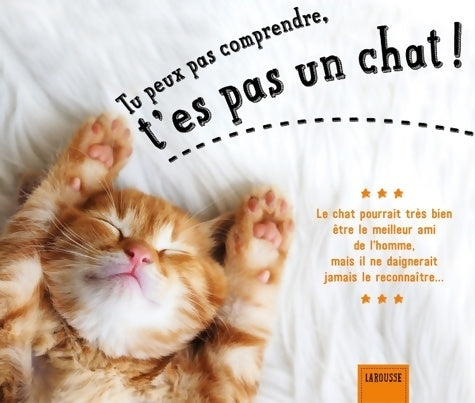 Livrenpoche : Tu peux pas comprendre, t'es pas un chat ! - Alice Zabée - Livre