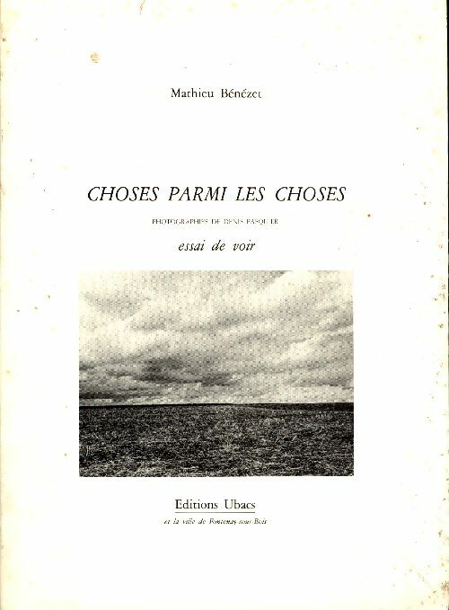 Livrenpoche : Choses parmi les choses. Essai de voir - Mathieu Bénézet - Livre