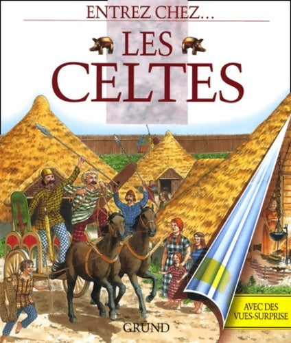 Livrenpoche : Entrez chez les celtes - Hazel-mary Martell - Livre