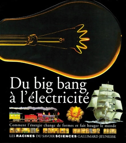 Livrenpoche : Du big bang à l'électricité : Comment l'énergie change de formes et fait bouger le monde - Catherine De Sairigné - Livre