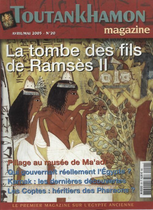 Livrenpoche : Toutankhamon magazine n°20 : La tombe des fils de Ramsès II - Collectif - Livre