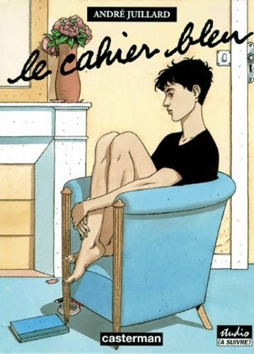 Livrenpoche : Le cahier bleu - André Juillard - Livre