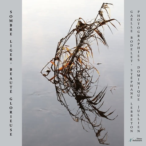 Livrenpoche : Sombre liger beauté glorieuse - Gaëlle Bodelet - Livre