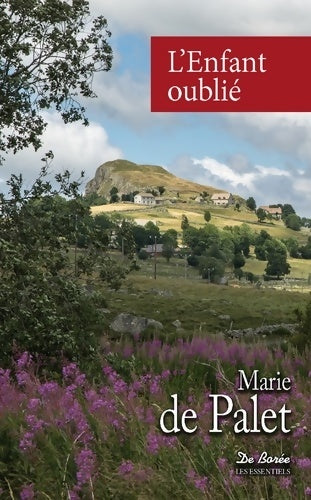 Livrenpoche : L'enfant oublié - Marie De Palet - Livre