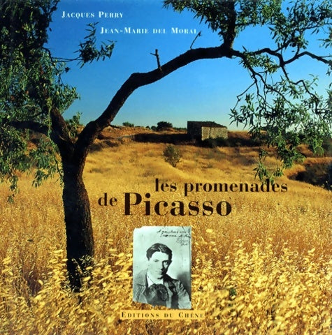 Livrenpoche : Les promenades de Picasso - Jacques Perry - Livre