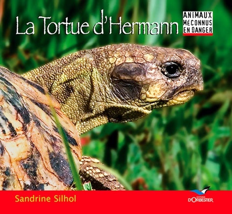 Livrenpoche : La tortue d'hermann - Silhol Sandrine - Livre