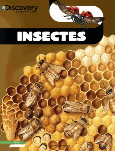 Livrenpoche : Insectes - Lesley Mcfadzean - Livre