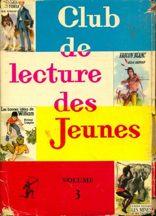 Livrenpoche : Lassie chien fidèle / Faucon blanc / Les bonnes idées de William /  Les mines du roi Salomon - Collectif - Livre