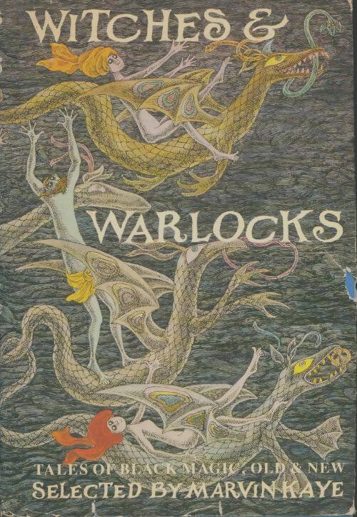 Livrenpoche : Witches & Warlocks - Marvin Kaye - Livre
