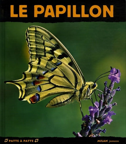 Livrenpoche : Papillon (le) - Patrick Lorne - Livre