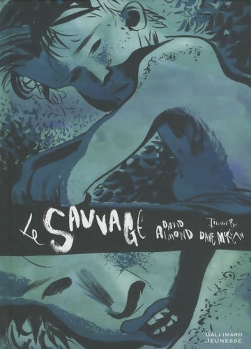 Livrenpoche : Le sauvage - David Almond - Livre