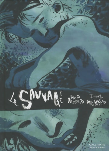 Le sauvage - David Almond -  Gallimard Jeunesse GF - Livre