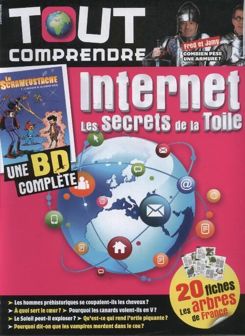 Livrenpoche : Tout comprendre n°22 : Internet, les secrets de la toile - Collectif - Livre