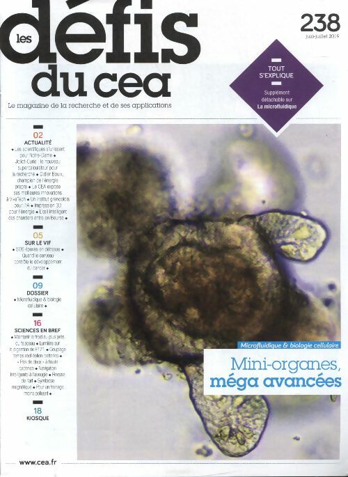 Livrenpoche : Les défis du CEA n°238 : Mini-organes, méga avancées - Collectif - Livre