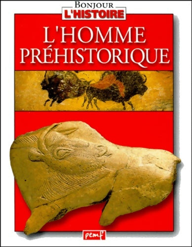 Livrenpoche : Bonjour l'histoire - Karine Delobbe - Livre