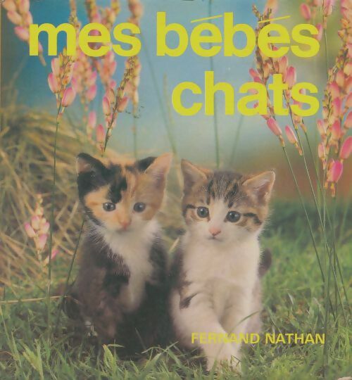 Livrenpoche : Mes bébés chats - Collectif - Livre