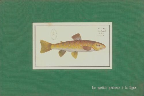 Livrenpoche : Le parfait pêcheur à la ligne - Collectif - Livre