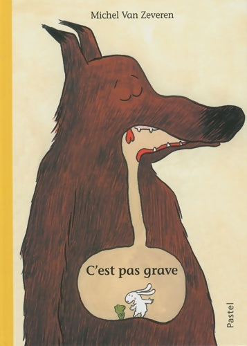 Livrenpoche : C est pas grave - Van Zeveren - Livre