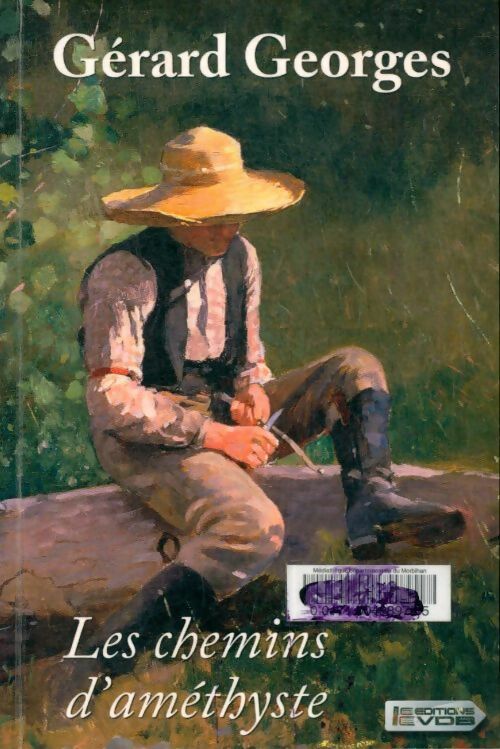 Livrenpoche : Les chemins d'améthyste - Georges Gérard - Livre