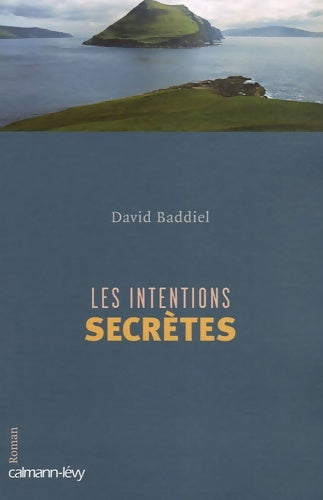 Livrenpoche : Les intentions secrètes - David Baddiel - Livre