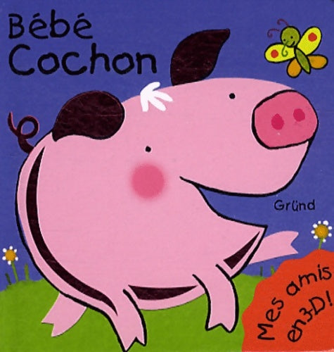 Livrenpoche : bébé cochon - Collectif - Livre