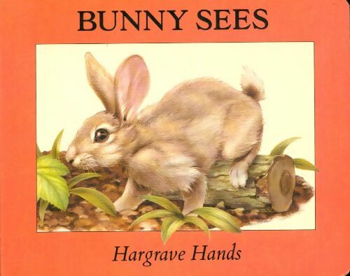 Livrenpoche : Bunny sees - Hargrave Hands - Livre