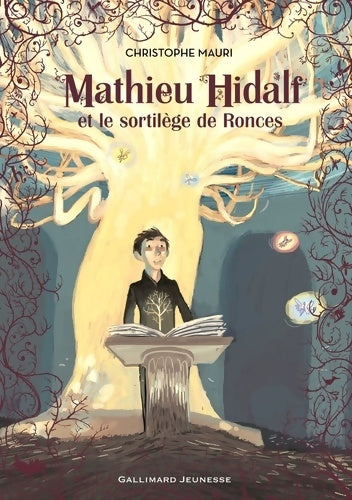 Livrenpoche : Mathieu Hidalf Tome III : Mathieu Hidalf et le sortilège de ronces - Christophe Mauri - Livre