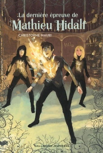 Livrenpoche : Mathieu Hidalf Tome V : la dernière épreuve de Mathieu Hidalf - Christophe Mauri - Livre