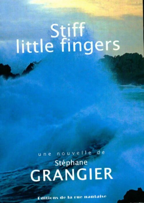 Livrenpoche : Stiff little fingers - Stéphane Grangier - Livre