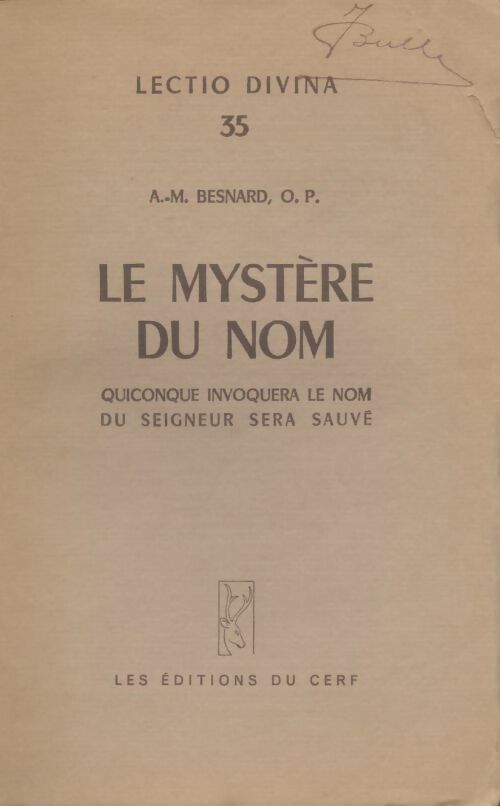 Livrenpoche : Le mystère du nom - A.M Besnard - Livre