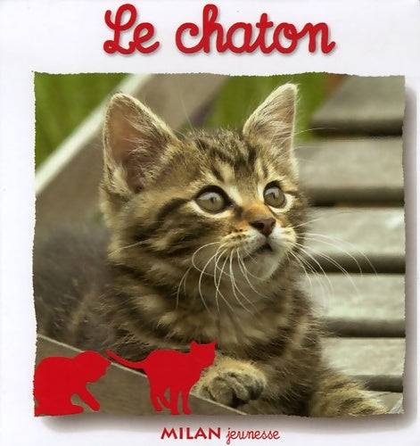 Livrenpoche : Le chaton - Natacha Scheidhauer-Fradin - Livre