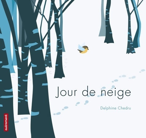 Jour de neige - Delphine Chedru - Livre
