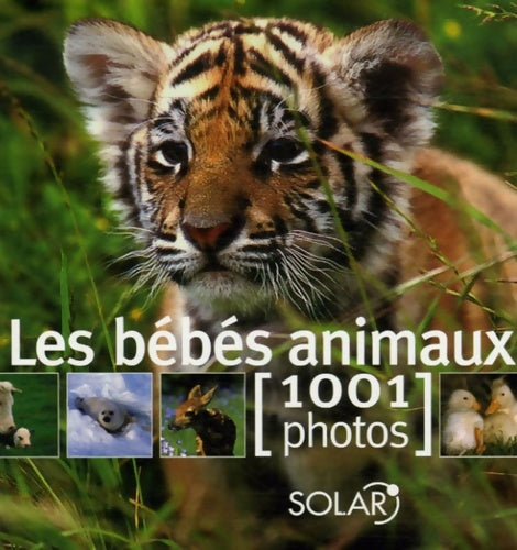 Livrenpoche : bébés animaux en 1001 photos - Collectif - Livre