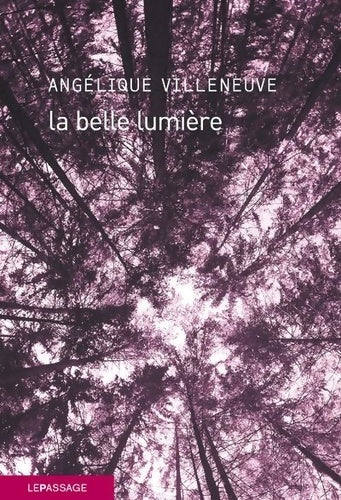 Livrenpoche : La belle lumière - Angélique Villeneuve - Livre