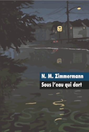 Livrenpoche : Sous l'eau qui dort - N. M. Zimmermann - Livre
