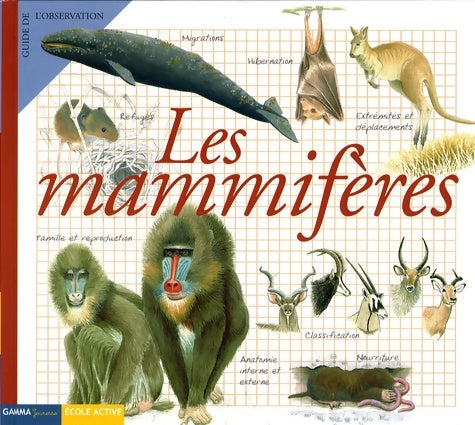 Livrenpoche : Les Mammifères - Maria-Angels Julivert - Livre