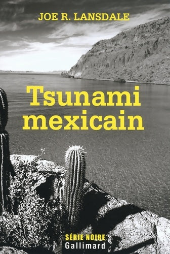 Livrenpoche : Tsunami mexicain : Une enquête de hap collins et Léonard pine - Joe R. Lansdale - Livre