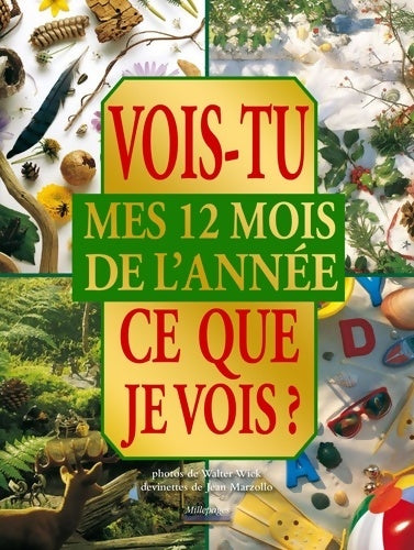 Livrenpoche : Vois tu ce que je vois ? mes 12 mois de l'année - W. Wick - Livre